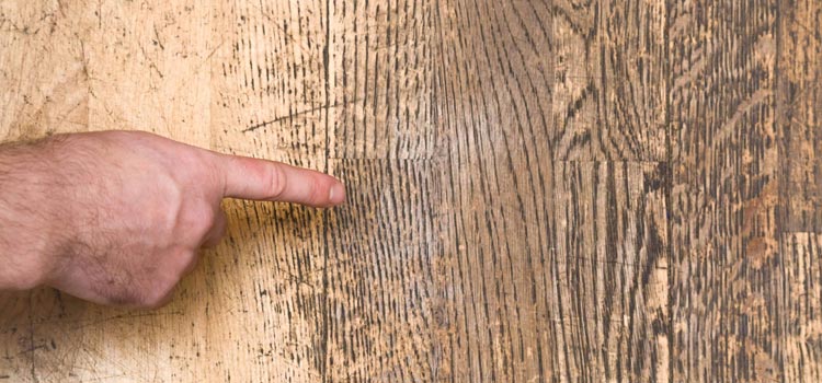 Wood Door Scratch Repair in Santa Clara